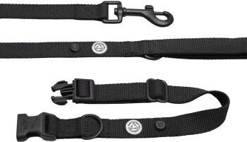 Barkalot Hundehalsband-Auslaufset mit Führleine aus Polyester in Schwarz Größe L – Bild 1 von 3