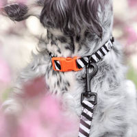Produktbild von Barkalot Hundehalsband-Auslaufset mit Führleine aus Polyester Schwarz Weiß Größe M