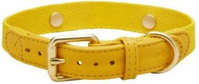 Barkalot Hundehalsband für Welpen aus Kunstleder Gelb XS – Bild 1 von 3