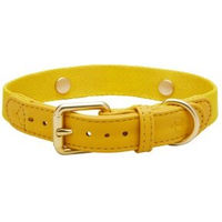 Produktbild von Barkalot Hundehalsband für Welpen aus Kunstleder Gelb XS