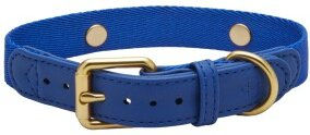 Barkalot Hundehalsband für Welpen aus veganem Kunstleder in Blau XS – Bild 1 von 3