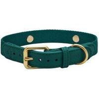Produktbild von Barkalot Hundehalsband für Welpen aus veganem Leder in Grün XS