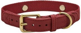 Barkalot Hundehalsband für Welpen aus veganem Leder in Rot XS – Bild 1 von 3