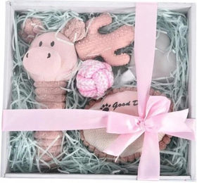 BARRY KING Hundegeschenkset 5in1 für Welpen in Rosa mit Plüschspielzeug – Bild 1 von 1