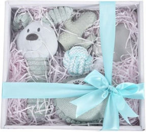 BARRY KING Hundegeschenkset 5in1 Plüschspielzeug für Welpen in Grau und Blau – Bild 1 von 1