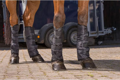 Bässe Riding World Transportgamaschen für Warmblut Pferde in Schwarz aus Polyester – Bild 1 von 5