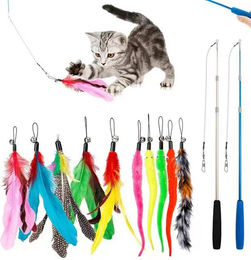 Beaface Katzenspielzeug-Set 12-teilig mit ausziehbarem Angelstab, Federn und Raupen für erwachsene Katzen – Bild 1 von 2