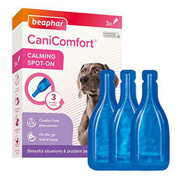Beaphar CaniComfort Wohlfühl Spot-On Pheromone für Hunde 3 x 1 ml - 3 x 1 ml – Bild 1 von 4