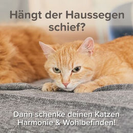 Beaphar CatComfort Excellence Nachfüll-Flakon für Verdampfer 48 ml für Katzen aller Altersstufen - 48 ml – Bild 1 von 8