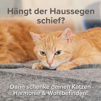 Produktbild von Beaphar CatComfort Excellence Nachfüll-Flakon für Verdampfer 48 ml für Katzen aller Altersstufen - 48 ml