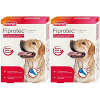 Produktbild von Beaphar Fiprotec Spot-On Lösung gegen Flöhe und Zecken für große Hunde 268 mg