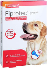 Beaphar Fiprotec Spot-On Lösung gegen Flöhe und Zecken für große Hunde – Bild 1 von 2