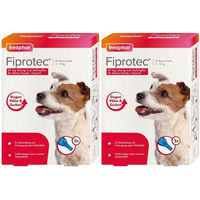 Produktbild von Beaphar Fiprotec Spot-On Lösung gegen Flöhe und Zecken für kleine Hunde