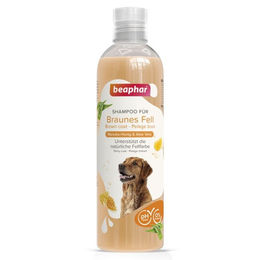 Beaphar Hundeshampoo für braunes Fell mit Manuka-Honig und Aloe Vera 250 ml - 250 ml – Bild 1 von 12