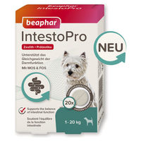 Produktbild von Beaphar IntestoPro Tabs für kleine Hunde und Katzen zur Unterstützung der Darmfunktion mit Zeolith, MOS und FOS, 20 Stück