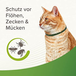Beaphar Margosa Zecken- und Flohschutz Halsband für Katzen Kitten - 1 Stk. – Bild 1 von 8