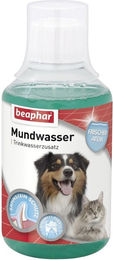 Beaphar Mundwasser für Hunde und Katzen zur Mund- und Zahnpflege 250 ml - 250 ml – Bild 1 von 12
