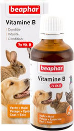 Beaphar Vitamin B-Complex Ergänzungsfuttermittel für Hunde, Katzen und Tauben 50 ml – Bild 1 von 2