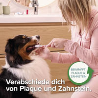 Produktbild von Beaphar Zahnpasta Pfefferminz & Petersilie für Hunde und Katzen 100 g