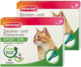 Beaphar Zecken- und Flohschutz SPOT-ON für Katzen 6 x 0,8 ml – Bild 1 von 1