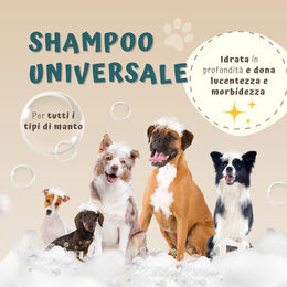 Beauty Case Pet Universelles Tiershampoo für alle Felltypen und Altersstufen 250 ml – Bild 1 von 3