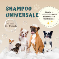 Produktbild von Beauty Case Pet Universelles Tiershampoo für alle Felltypen und Altersstufen 250 ml