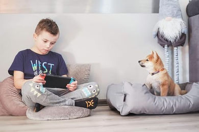 BedDog Hundebett LUPI Hundekissen für kleine Hunde in Schwarz-Beige Größe S aus Velours mit abziehbarem waschbarem Bezug – Bild 1 von 6