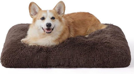 BEDSURE PetPad Hundematte aus Plüsch Braun Größe M OEKO-TEX Standard 100 – Bild 1 von 1