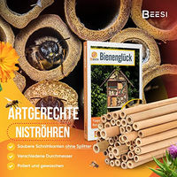 Produktbild von BEESI Bambus Nisthülsen für Insektenhotel 200 Stück 14 cm Länge Natur Braun
