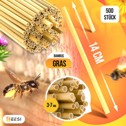 BEESI Bambusgras Nistmaterial für Insektenhotels und Bienenhotels 500 Stück 14 cm Länge Durchmesser 3-7 mm – Bild 1 von 10