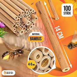 BEESI Bambusröhrchen für Insektenhotels 14 cm lang als Füllmaterial für Wildbienen 300 Stück – Bild 1 von 5