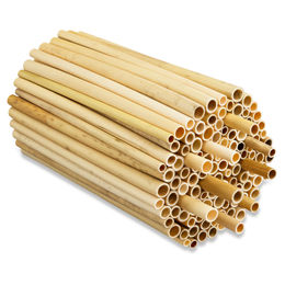 BEESI Naturbelassene Niströhren aus Schilf für Wildbienen 1000 Stück 14 cm lang Durchmesser 3-7 mm – Bild 1 von 6