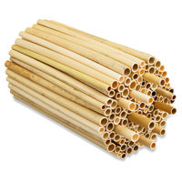 Produktbild von BEESI Naturbelassene Niströhren aus Schilf für Wildbienen 1000 Stück 14 cm lang Durchmesser 3-7 mm