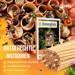 BEESI Nisthülsen aus Schilf für Insektenhotel mit 200 Stück, 14 cm lang, Durchmesser 4-7 mm – Bild 1 von 11