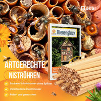 Produktbild von BEESI Nisthülsen aus Schilf für Insektenhotel mit 200 Stück, 14 cm lang, Durchmesser 4-7 mm