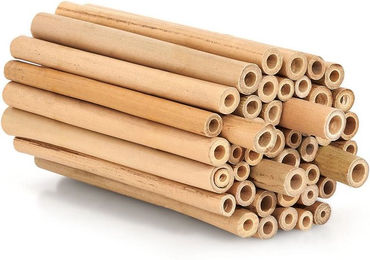 BEESI Wildbienen-Nisthilfe aus Bambus 100 Stück 10 cm Natur Braun – Bild 1 von 4