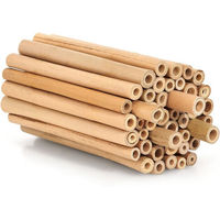Produktbild von BEESI Wildbienen-Nisthilfe aus Bambus 100 Stück 10 cm Natur Braun