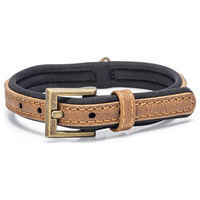 Produktbild von Beeztees Balacron Ax Hundehalsband aus Kunstleder Braun 24-30 cm x 1 cm