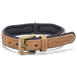 Beeztees Balacron Ax Hundehalsband aus Kunstleder Braun 29-35 cm x 1,5 cm – Bild 1 von 4