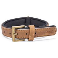 Produktbild von Beeztees Balacron Ax Hundehalsband aus Kunstleder Braun 31-39 cm