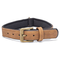 Produktbild von Beeztees Balacron Ax Hundehalsband aus Kunstleder Braun 38-48 cm