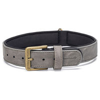 Produktbild von Beeztees Balacron Ax Hundehalsband aus Kunstleder Grau 47-57 cm x 30 mm