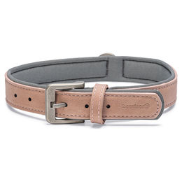 Beeztees Balacron Ax Hundehalsband aus Kunstleder in Rosa – Bild 1 von 6