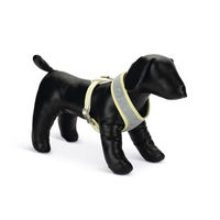 Produktbild von Beeztees Bronda Hundegeschirr für Welpen Grau Größe L