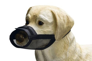 Beeztees Comfort Maulkorb für Hunde in Schwarz Größe S aus Nylon verstellbar – Bild 1 von 1