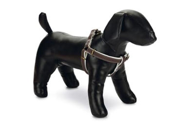 Beeztees Designed by Lotte Hundegeschirr aus Nylon in Braun Größe S – Bild 1 von 2