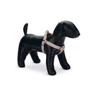 Produktbild von Beeztees Designed by Lotte Hundegeschirr aus Nylon in Rosa 15 mm x 35-60 cm