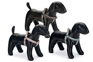 Beeztees Designed by Lotte Hundegeschirr Virante aus Nylon Braun 46-75 cm – Bild 1 von 2