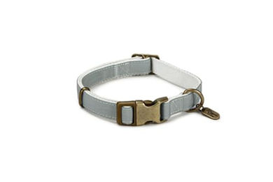 Produktbild von Beeztees Designed by Lotte Nylonhalsband mit Doppelleine Mint 35-50 cm