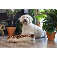Produktbild von Beeztees Dschungel Giraffenschwanz Hundespielzeug aus Plüsch in Braun